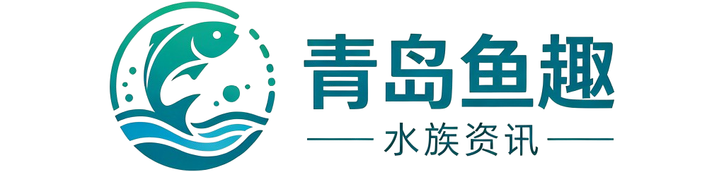 安枢青岛鱼趣